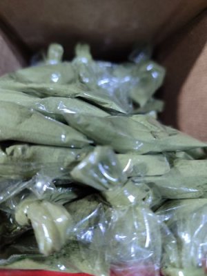 Coca Bico estevia verde